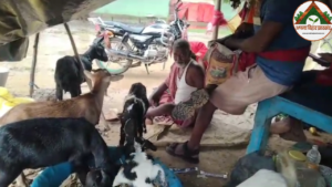 भागलपुर