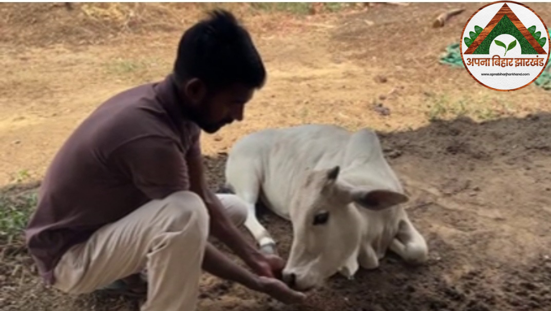 दूध