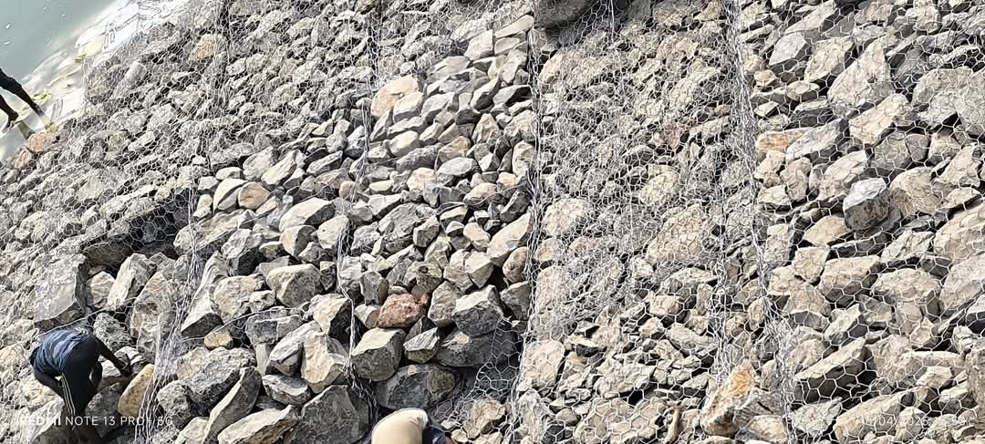 टीम