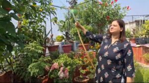 भागलपुर