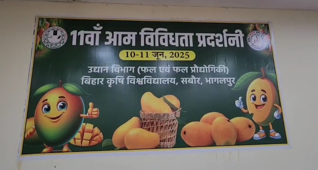 ऑपरेशन