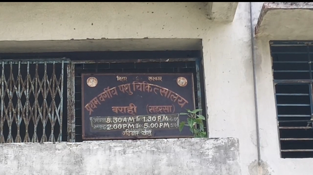 डॉक्टर