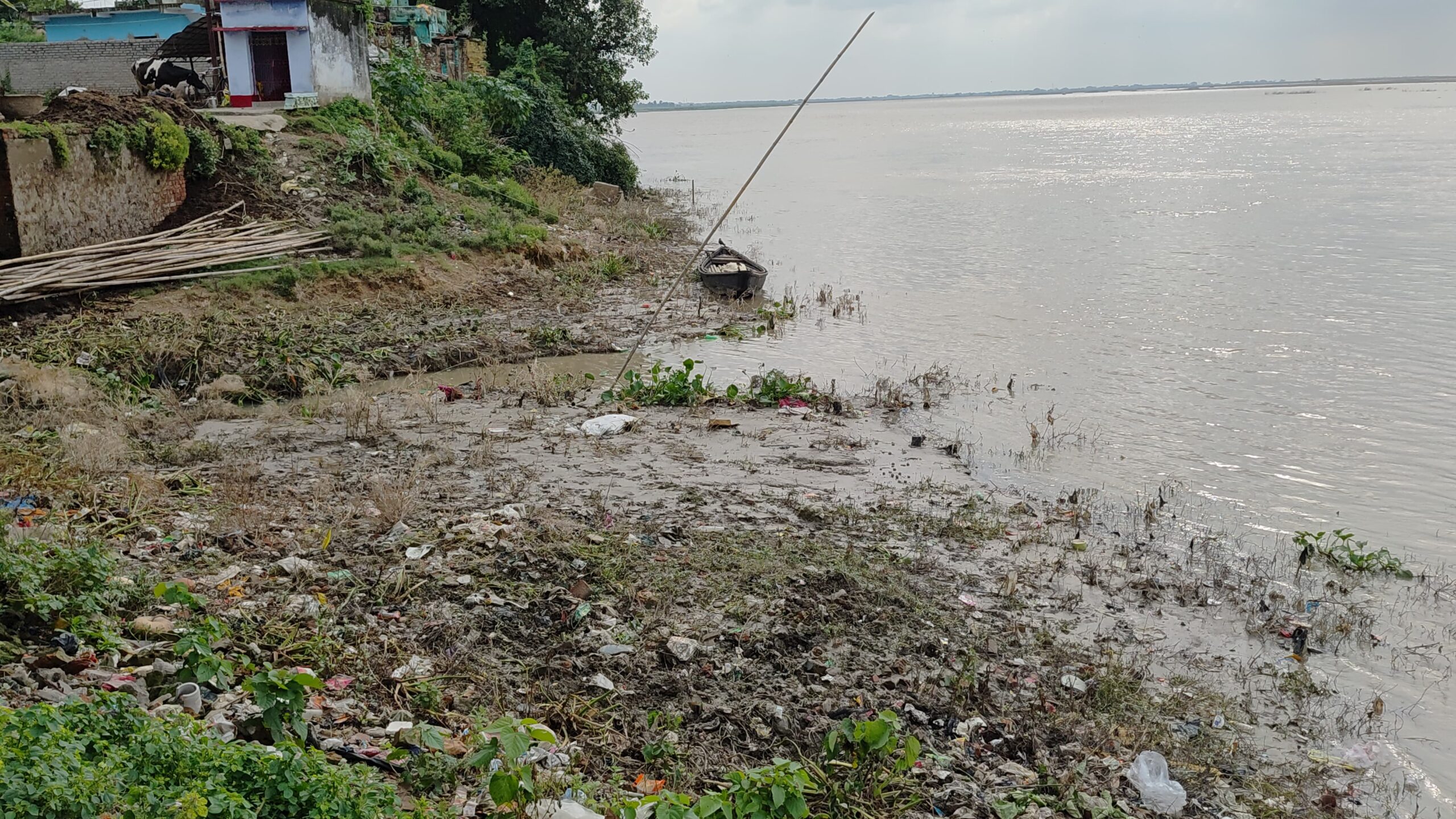 गंगा