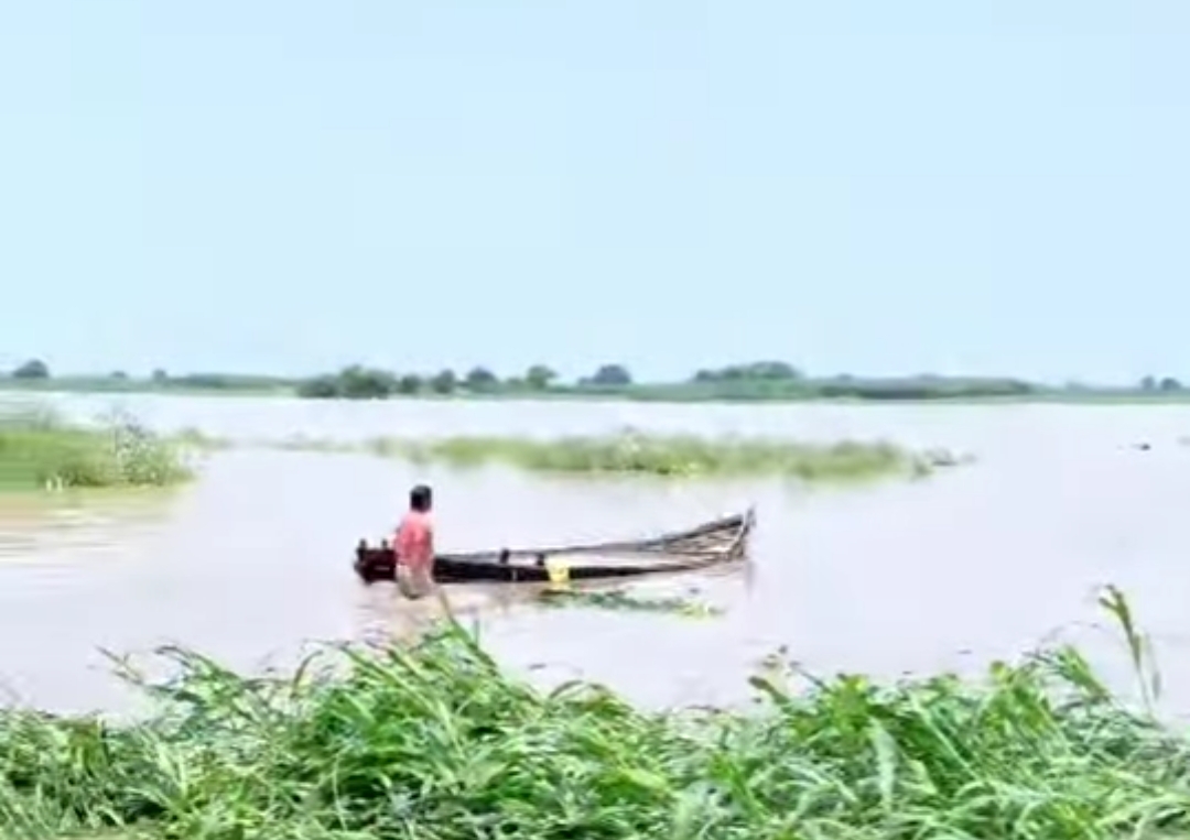 कबेला