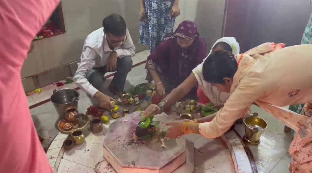 जंगलिया
