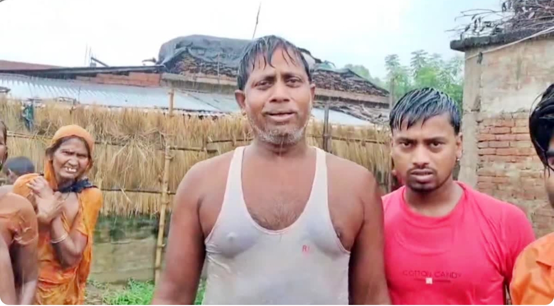 नाव