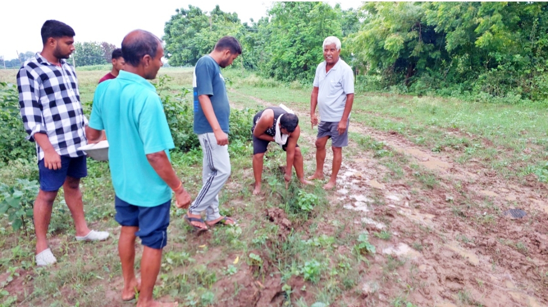 बारिश