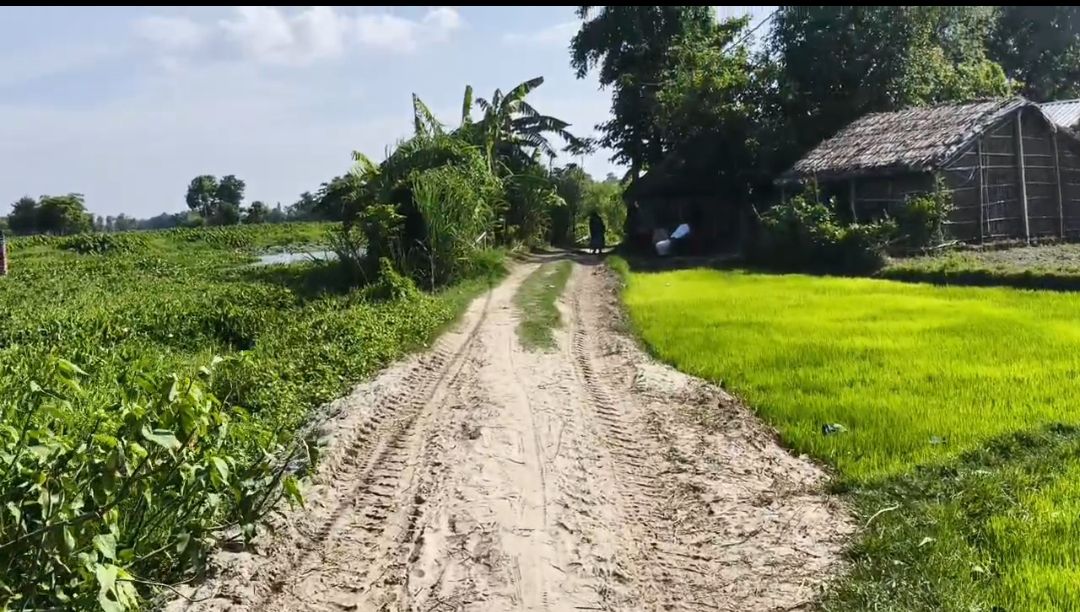 सड़क