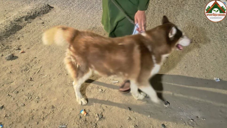 कुत्ता