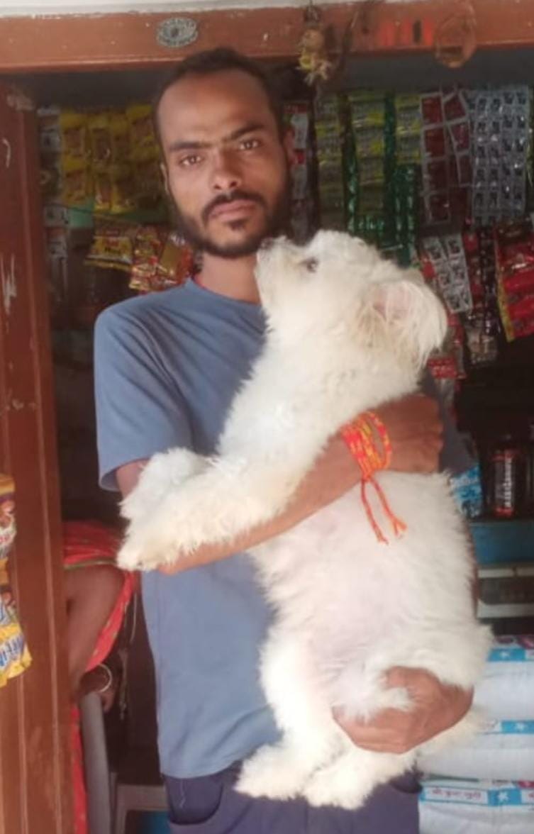 सड़क