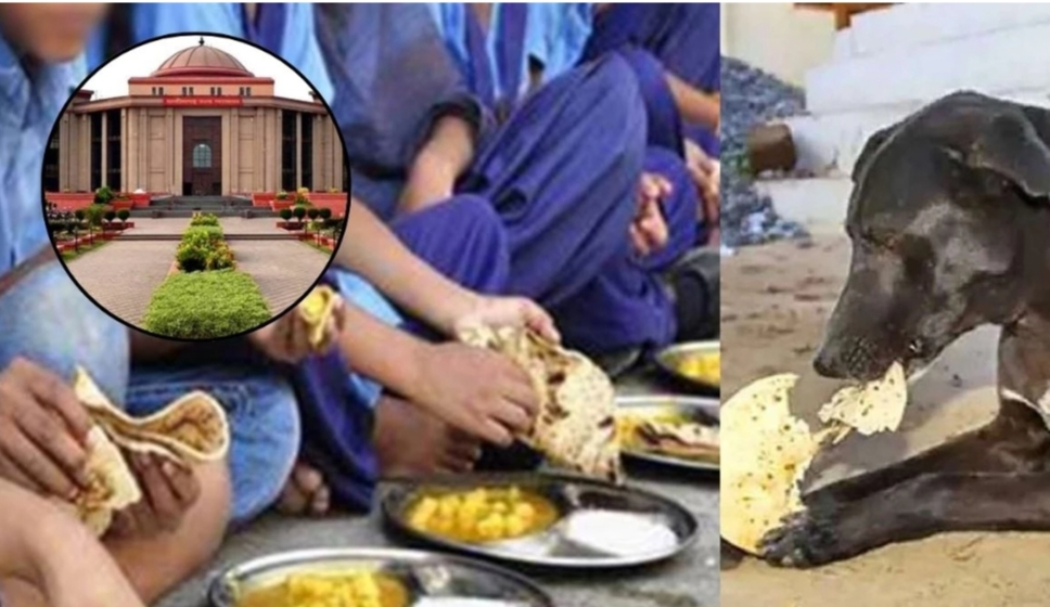 स्कूल