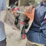 सैदपुर में कर्रा पक्षियों की मौत से हड़कंप, कीटनाशक छिड़काव को बताया कारण