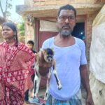 भागलपुर के जगदीशपुर में बकरी ने दिया “अनोखे” बच्चे को जन्म, इलाके में कौतूहल