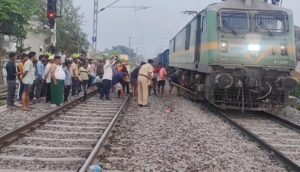 नाथनगर के पास मालगाड़ी की चपेट में आईं तीन भैंसें, एक घंटे तक बाधित रहा रेल परिचालन