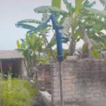 “पैसा नहीं मिला तो 6 फीट ऊपर टांग दिया चापाकल, बोला—पैसे दो तभी उतारूंगा”