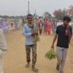 समृद्धि यात्रा में ‘चना लूट’, सीएम के कार्यक्रम के दौरान ही खेत से फसल उखाड़ी