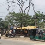 सहरसा में सूखे पेड़ों का खतरा: वन विभाग की लापरवाही से डर के साए में लोग