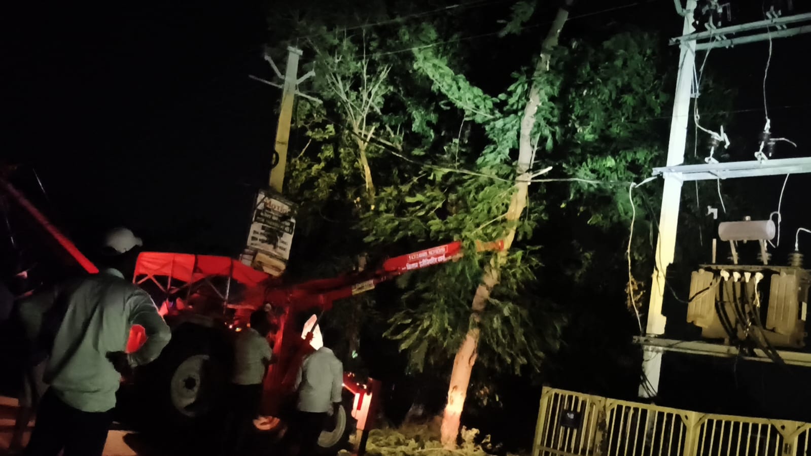 बिजली बहाली की जल्दबाजी में उखाड़ा गया वर्षों पुराना पेड़, हरित क्रांति के दावों पर उठे सवाल