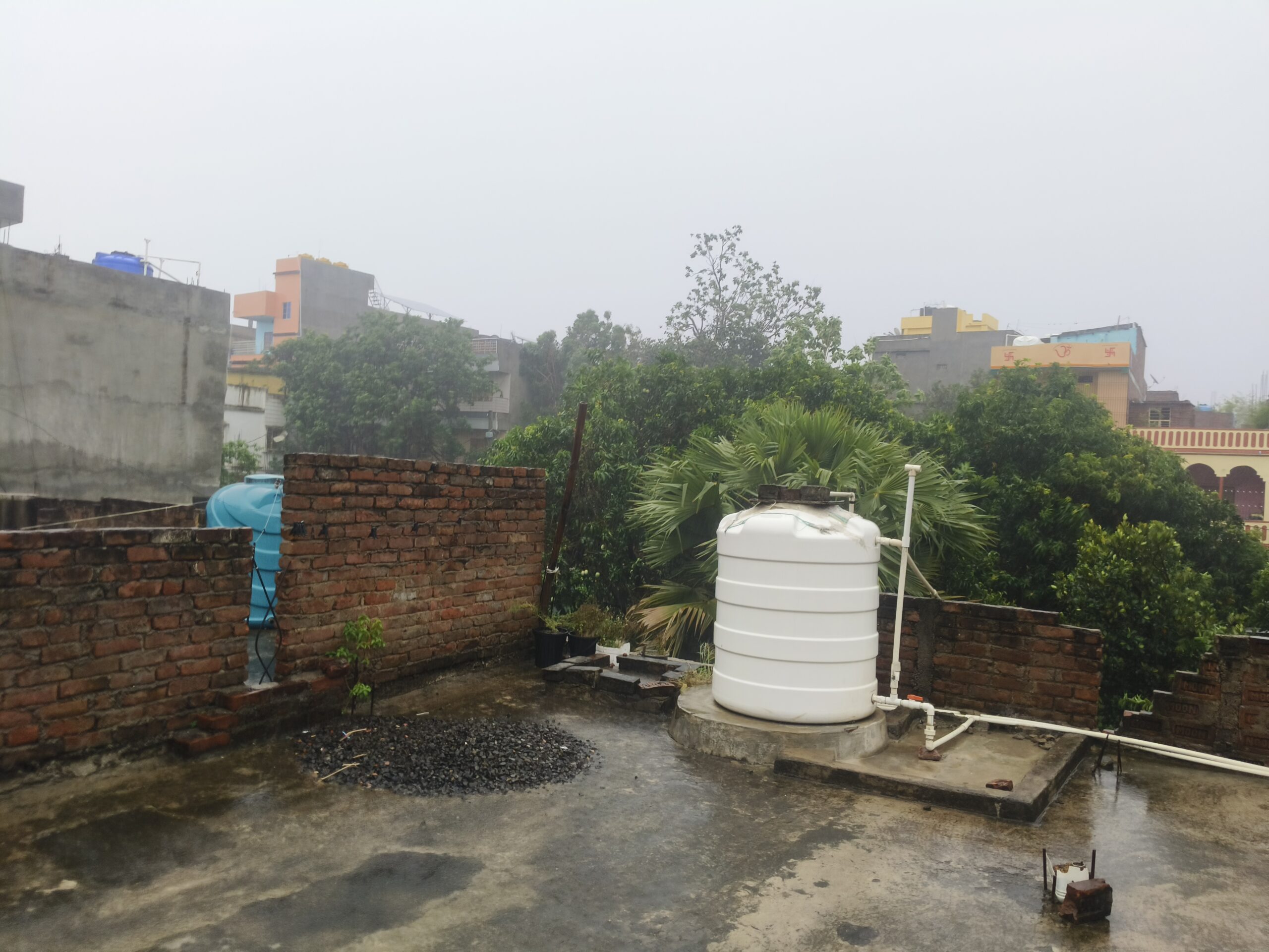 तेज आंधी और बारिश से बदला मौसम का मिजाज, किसानों पर टूटी आफत; आम समेत कई फसलों को भारी नुकसान