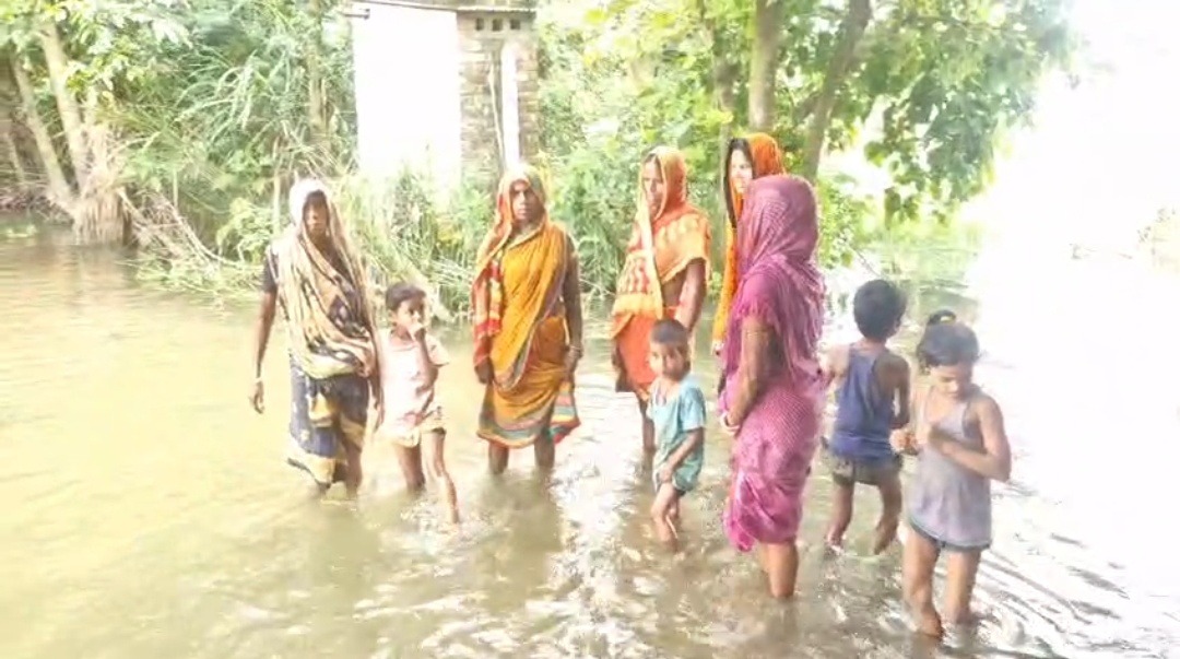 सहरसा के केदली पुनर्वास क्षेत्र में घुसा बाढ़ का पानी, घर छोड़ सुरक्षित ठिकानों की ओर पलायन शुरू