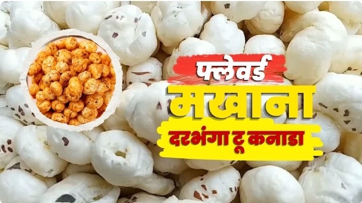 बिहार का मखाना बना ग्लोबल ब्रांड, दरभंगा से 7 टन फ्लेवर्ड मखाना कनाडा रवाना