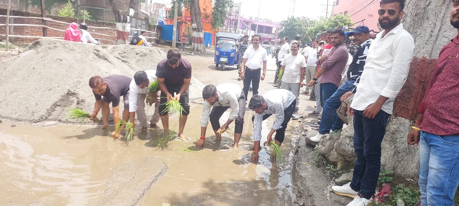 बैरिया चौक की बदहाल सड़क पर युवाओं ने की धान की रोपाई, बोले- हालात नहीं सुधरे तो सड़क पर ही देंगे धरना