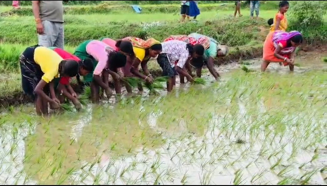सब्सिडी वाली यूरिया पर काला खेल! टुंडी में दोगुनी-तिगुनी कीमत वसूलने का आरोप, जांच के आदेश