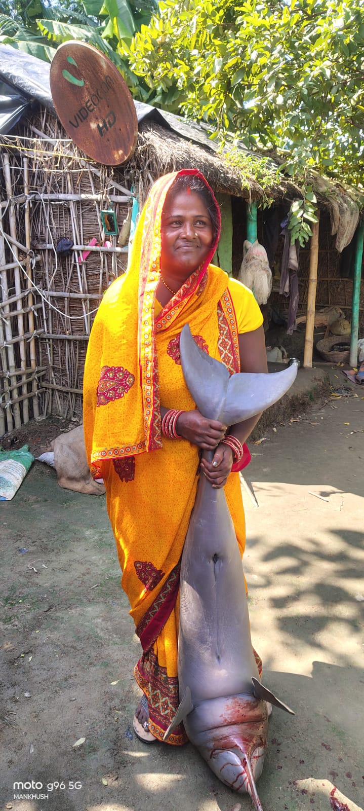 सहरसा में डॉल्फिन के शिकार का मामला, वीडियो वायरल होते ही वन विभाग की कार्रवाई; मुख्य आरोपी की तलाश जारी