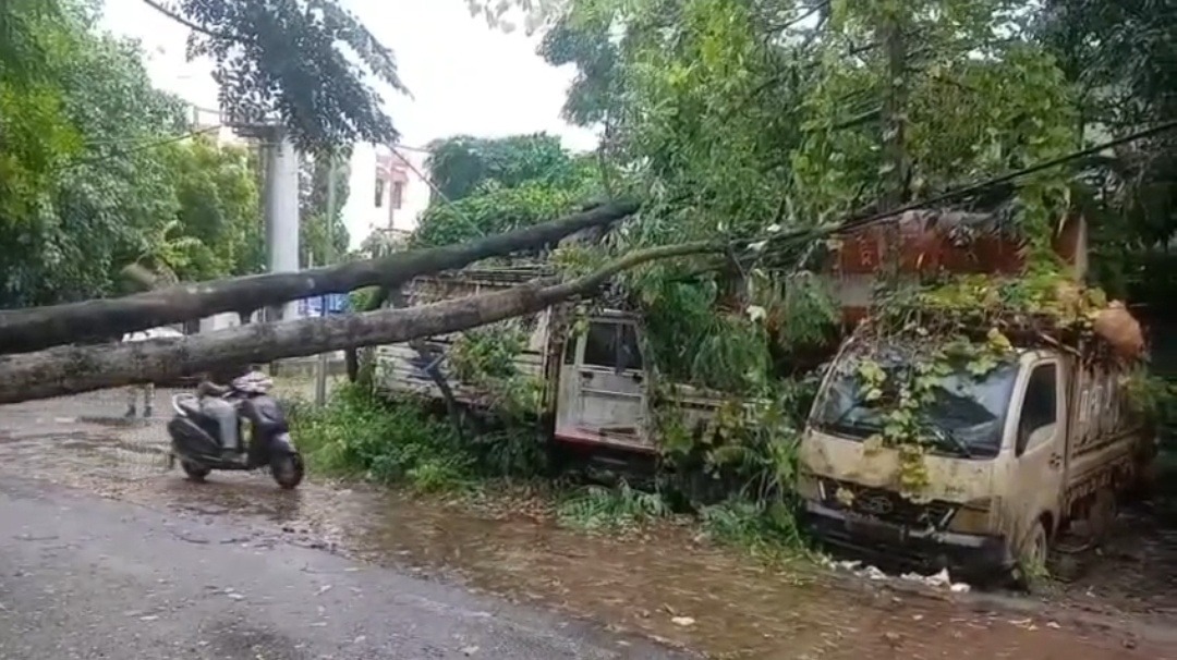 बोकारो में बारिश बनी आफत, भारी पेड़ गिरने से युवक गंभीर घायल; प्रशासन की सुरक्षा व्यवस्था पर उठे सवाल