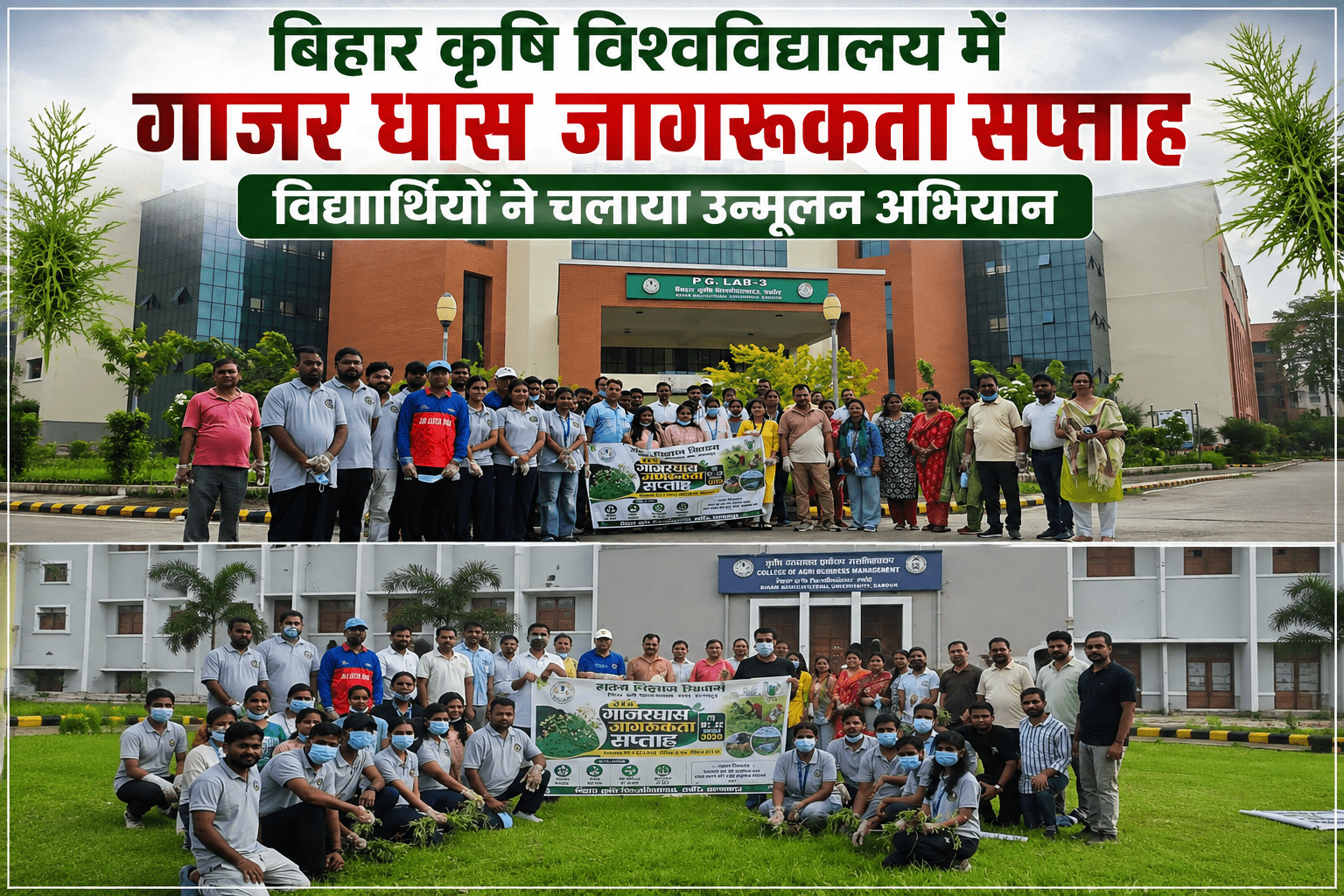 बिहार कृषि विश्वविद्यालय में गाजर घास जागरूकता सप्ताह, विद्यार्थियों ने चलाया उन्मूलन अभियान