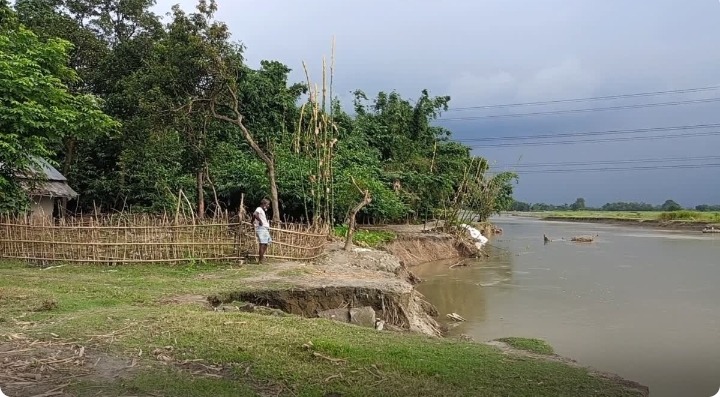 अररिया में पनार नदी का कहर: 5 घर समाए, दर्जनों परिवारों पर मंडरा रहा कटाव का खतरा