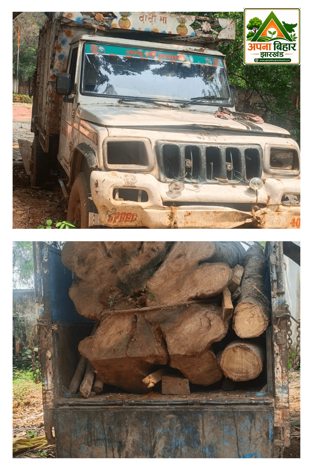 जामताड़ा में वन विभाग की बड़ी कार्रवाई, 2 घनमीटर से अधिक अवैध लकड़ी लदा पिकअप जब्त