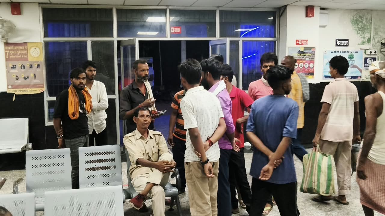 सहरसा खेत से फसल देखकर लौट रहे किसान को सांप ने काटा, इलाज के दौरान मौत