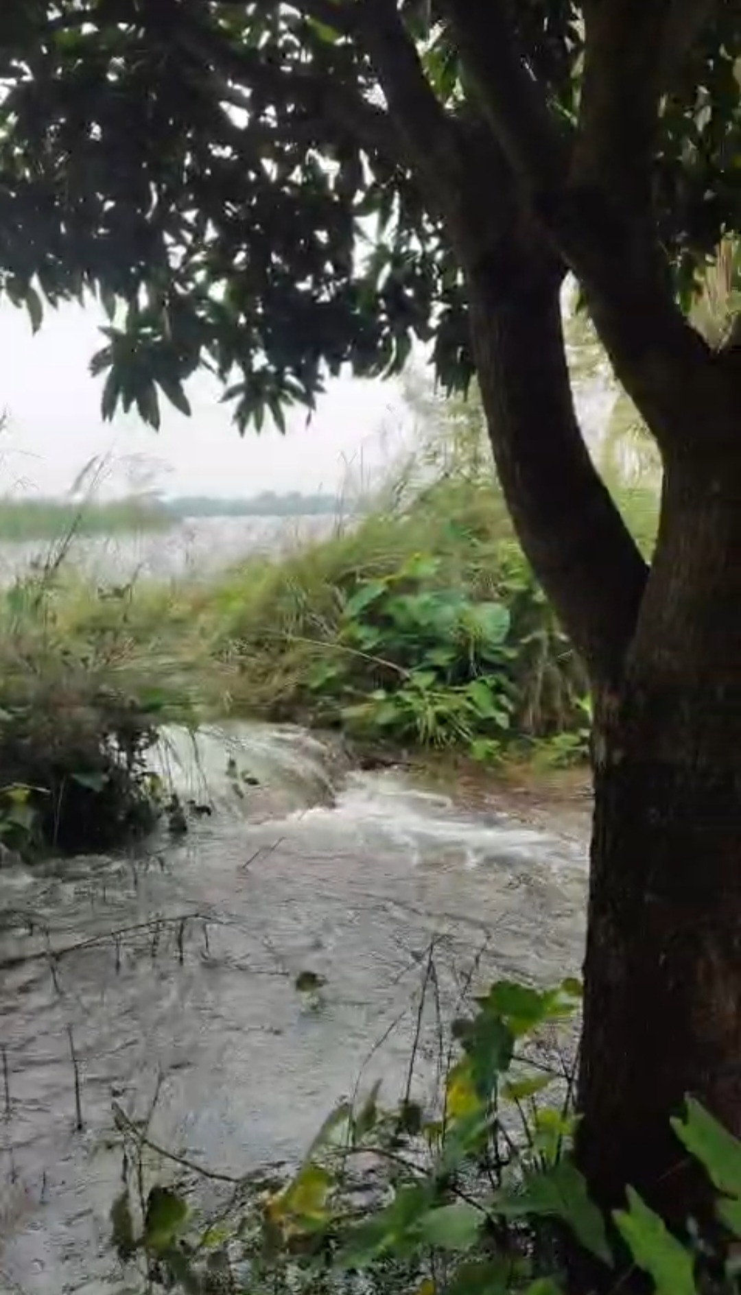 ब्रह्मोत्तर बांध पर मंडराया खतरा, तीन-चार जगहों पर ओवरफ्लो से मचा हड़कंप